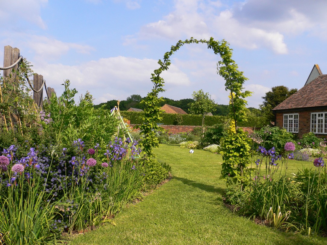 Hornbeam Arches Pedestrian Form