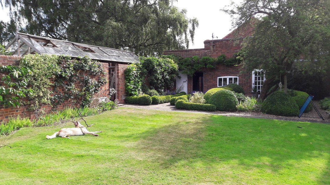 Pics from mobile to 12102016 007