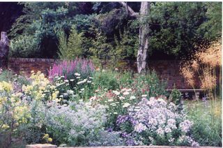 Plant combination herbaceous plus annuals first year of planting